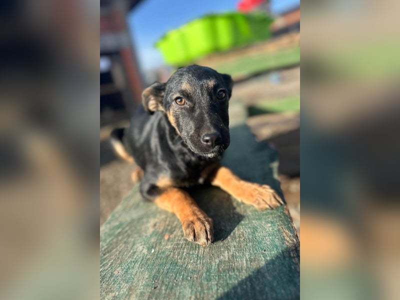 Liebste junge ♥Luna♥ erobert jedes Herz