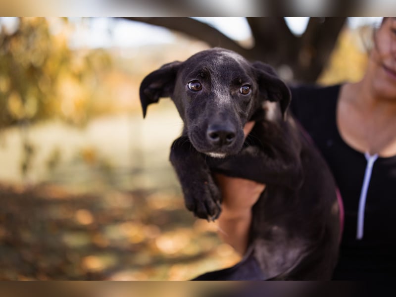 Paula ❤️ liebe, aktive, junge Zuckermaus!