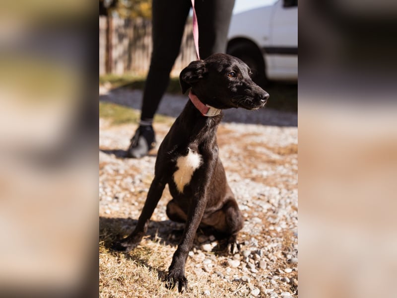 Paula ❤️ liebe, aktive, junge Zuckermaus!