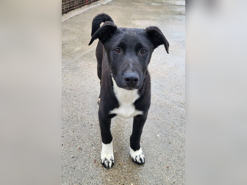 ♥ Julius ♥ junger Entdeckerbub sucht dich