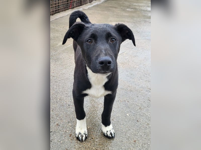 ♥Julius♥ junger Entdeckerbub sucht dich