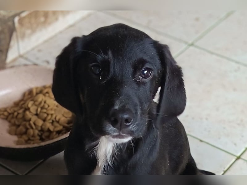 Elino ❤️ freundlicher, offener junger Bub