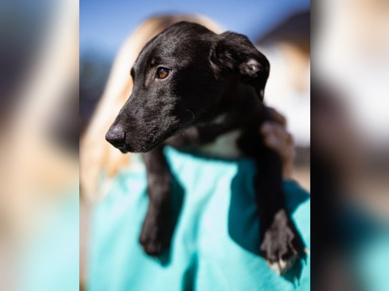 Paula ❤️ liebe, aktive, junge Zuckermaus!