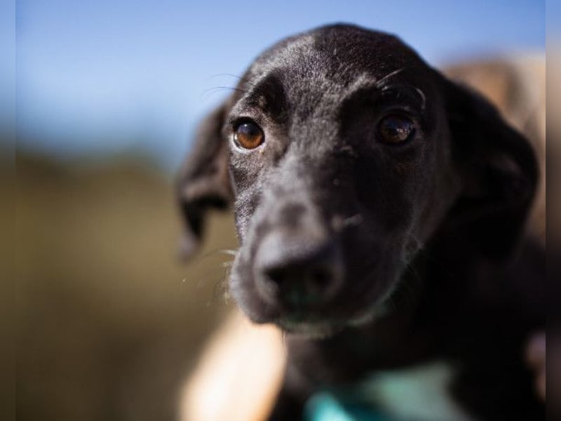 Paula ❤️ liebe, aktive, junge Zuckermaus!