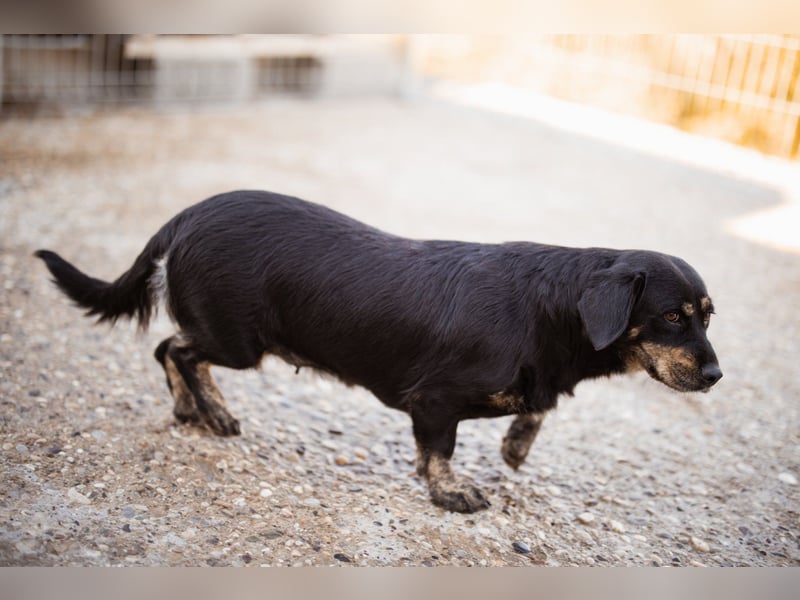 Junge Aimi sucht ihr großes Glück