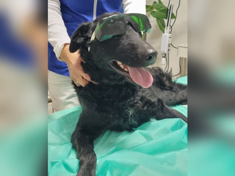 Floyd ❤️ liebenswerter, tapferer Kämpfer Floyd ❤️ liebenswerter, tapferer Kämpfer