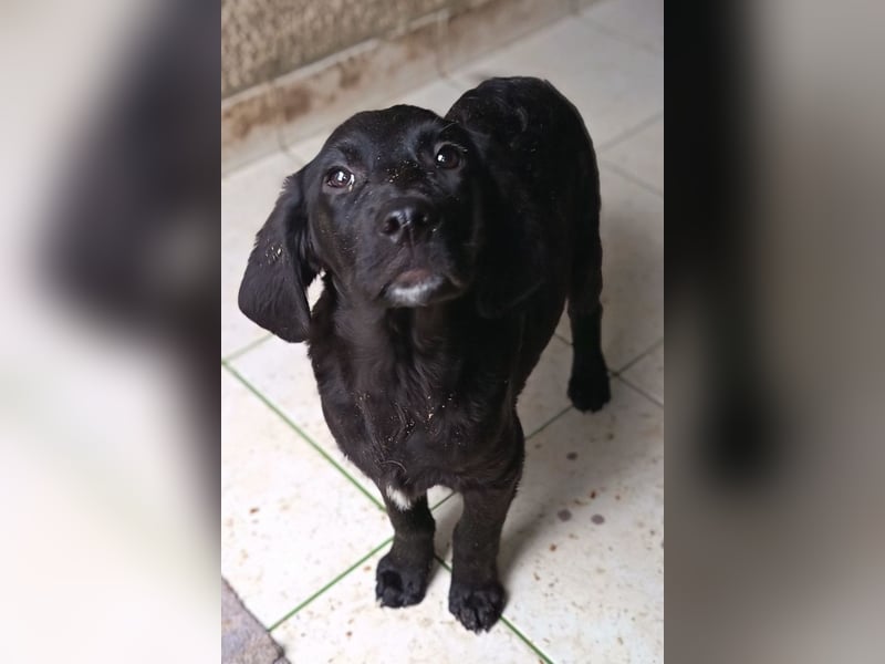 Haru ❤️ so lieber, aufgeschlossener Bub!