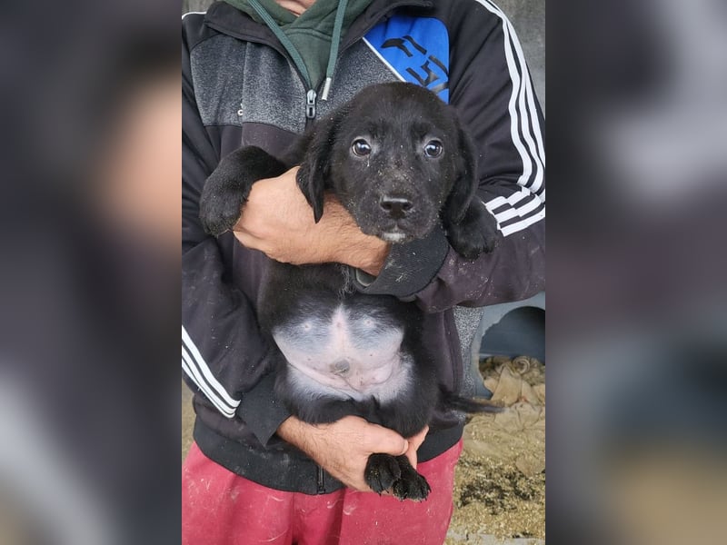 Haru ❤️ so lieber, aufgeschlossener Bub!