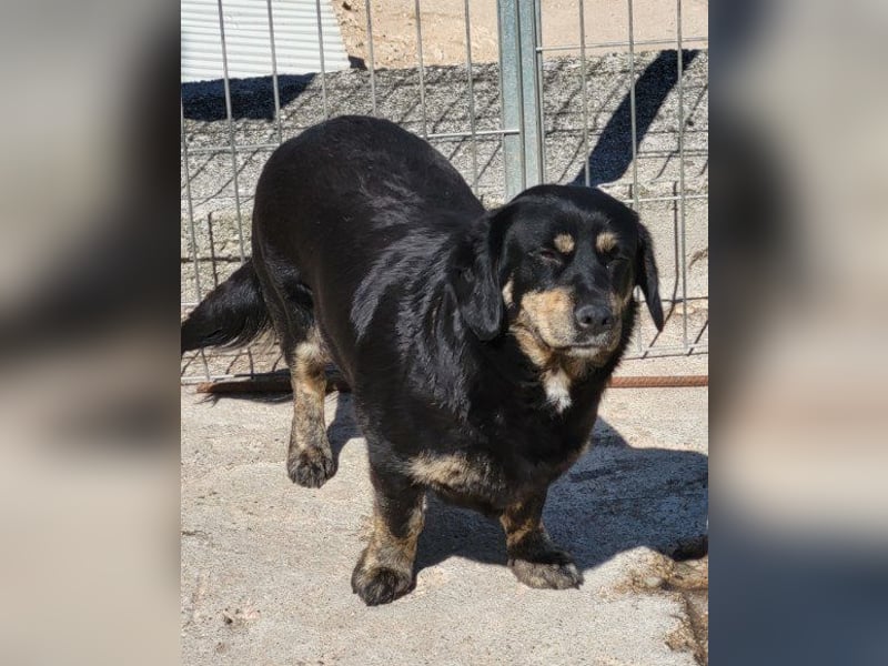 Junge Aimi sucht ihr großes Glück