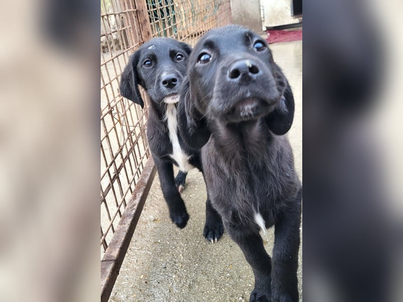 Haru ❤️ so lieber, aufgeschlossener Bub!