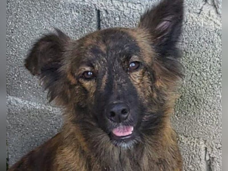 JULE❤️sanft, liebevoll und voller Zuneigung & Liebe