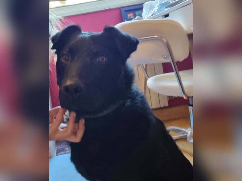 Floyd ❤️ liebenswerter, tapferer Kämpfer Floyd ❤️ liebenswerter, tapferer Kämpfer