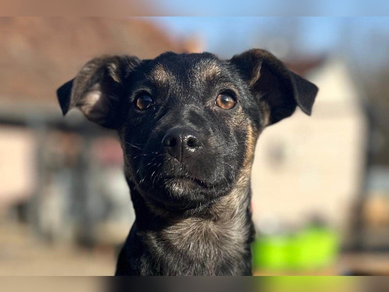 Liebste junge ♥Luna♥ erobert jedes Herz