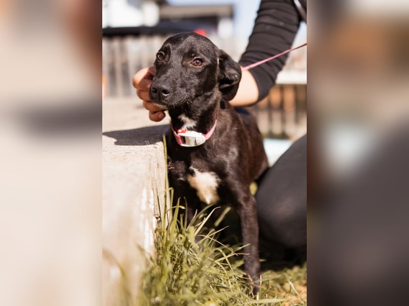 Paula ❤️ liebe, aktive, junge Zuckermaus!