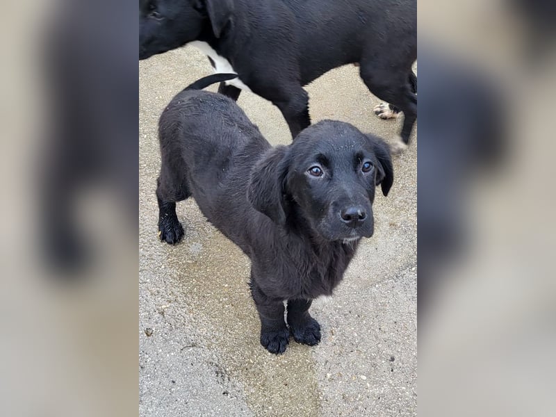 Haru ❤️ so lieber, aufgeschlossener Bub!