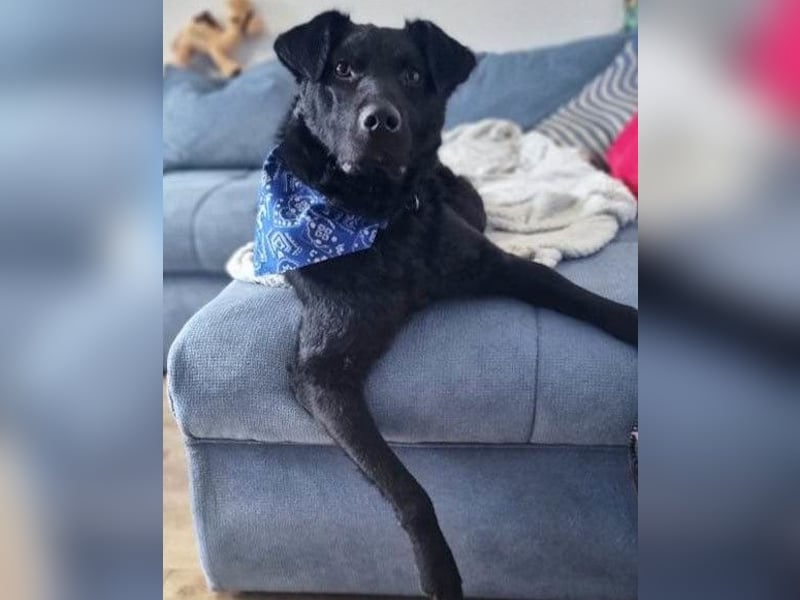 Floyd ❤️ liebenswerter, tapferer Kämpfer