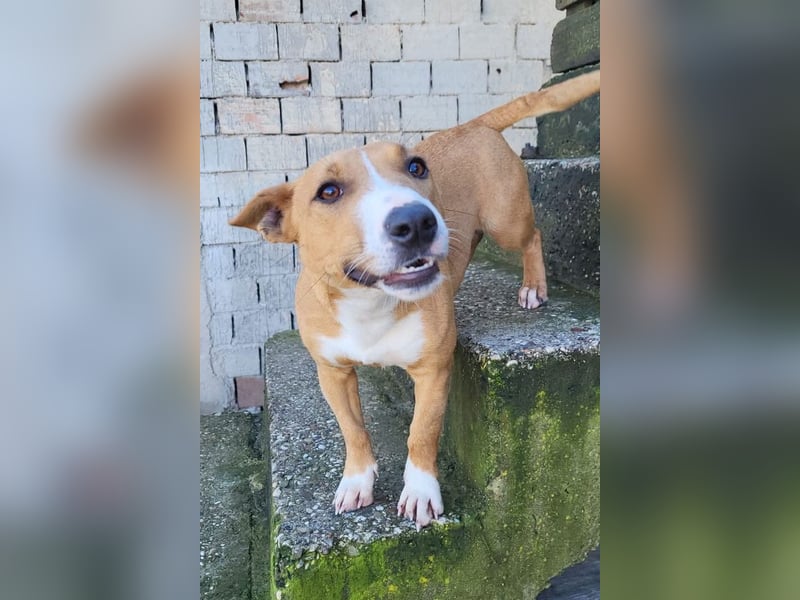 Aurelia ❤️ aufgeweckte, so fröhliche Maus