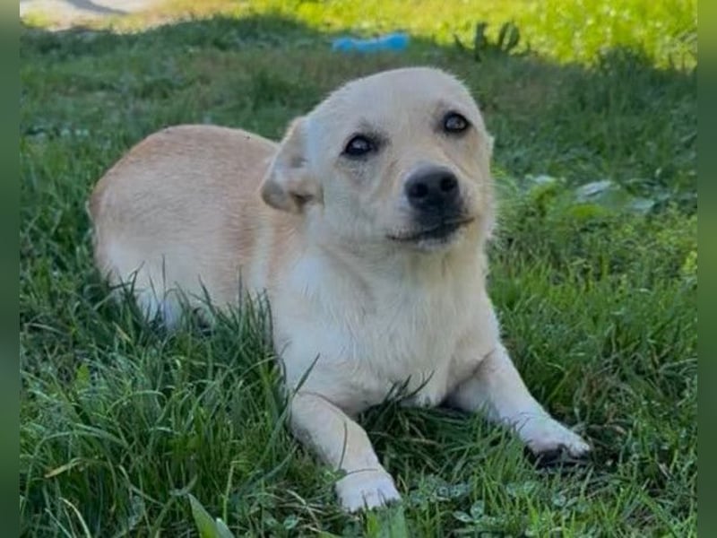 Mira ❤️ fröhlicher, lieber Sonnenschein! Mira ❤️ fröhlicher, lieber Sonnenschein!