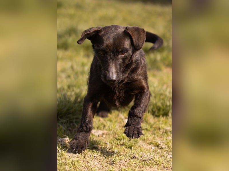 Fröhliche, kleine Greta zart, aber aktiv
