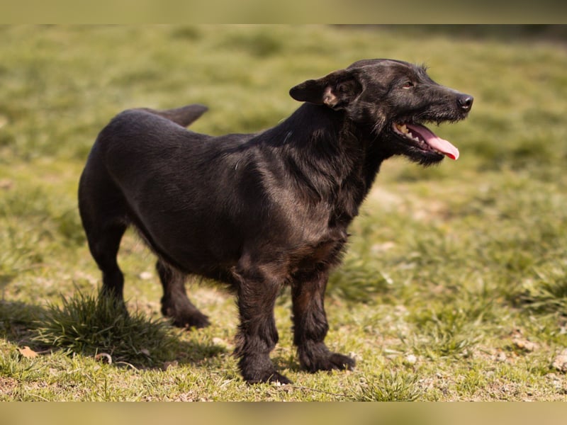 Fröhliche, kleine Greta zart, aber aktiv