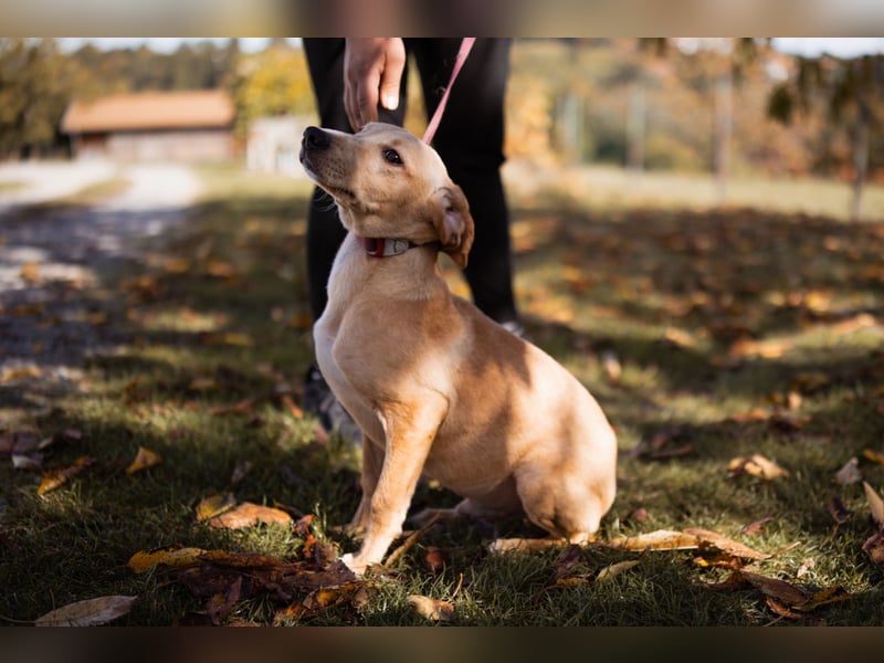Hachiko ❤️ so lebensfroh und aktiv!