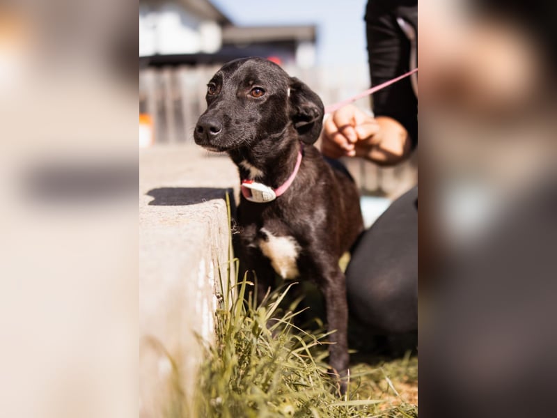 Paula ❤️ liebe, aktive, junge Zuckermaus!