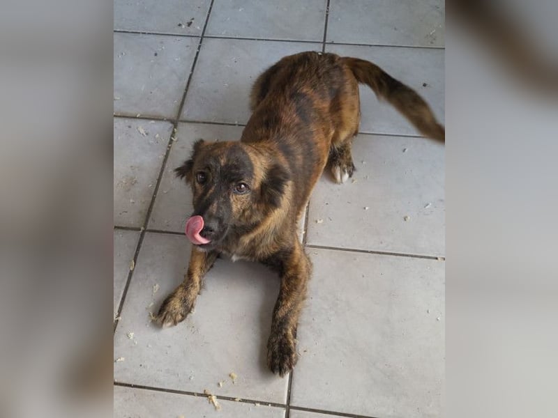 JULE❤️sanft, liebevoll und voller Zuneigung & Liebe