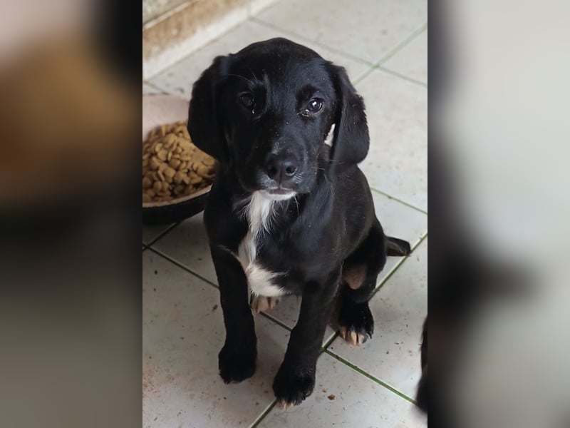 Elino ❤️ freundlicher, offener junger Bub