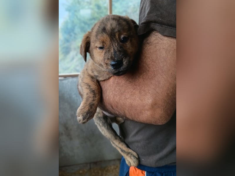 Timmy ❤️ junger, aktiver, so lieber Bub!