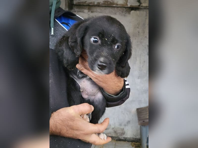 Elino ❤️ freundlicher, offener junger Bub