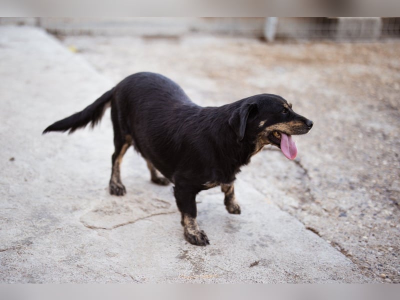 Junge Aimi sucht ihr großes Glück