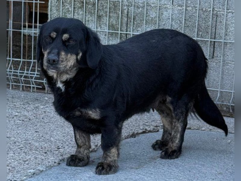 Junge Aimi sucht ihr großes Glück