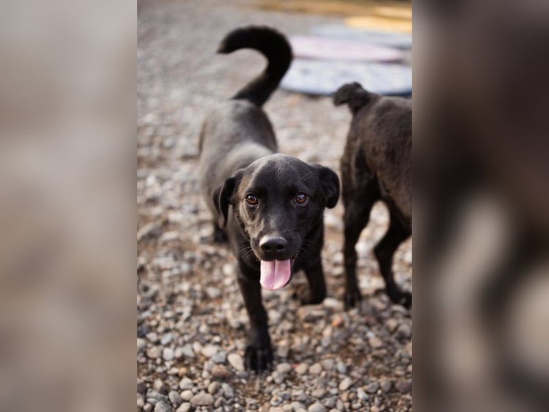 Ivan ❤️ super lieber, so verspielter Bub