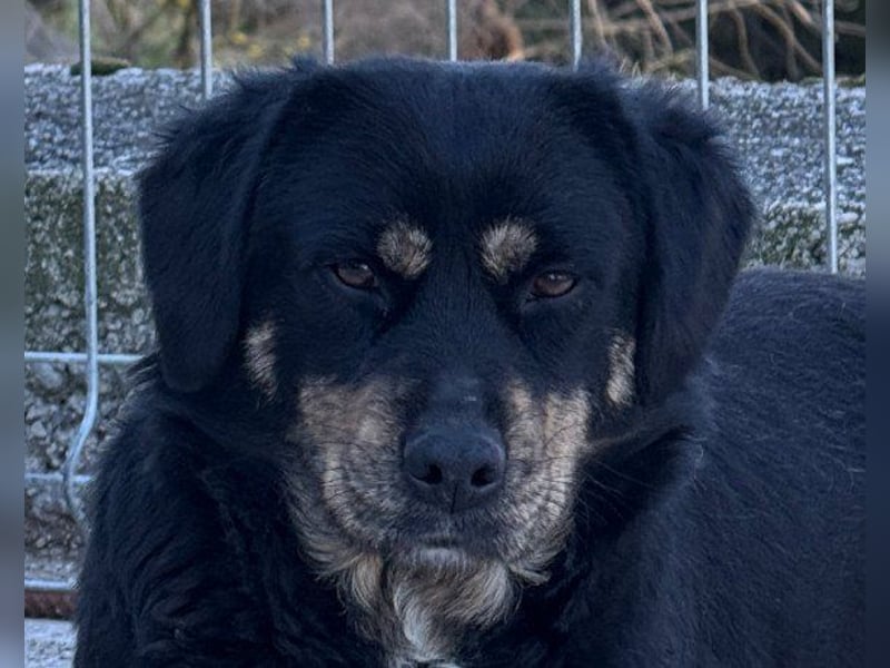 Junge Aimi sucht ihr großes Glück