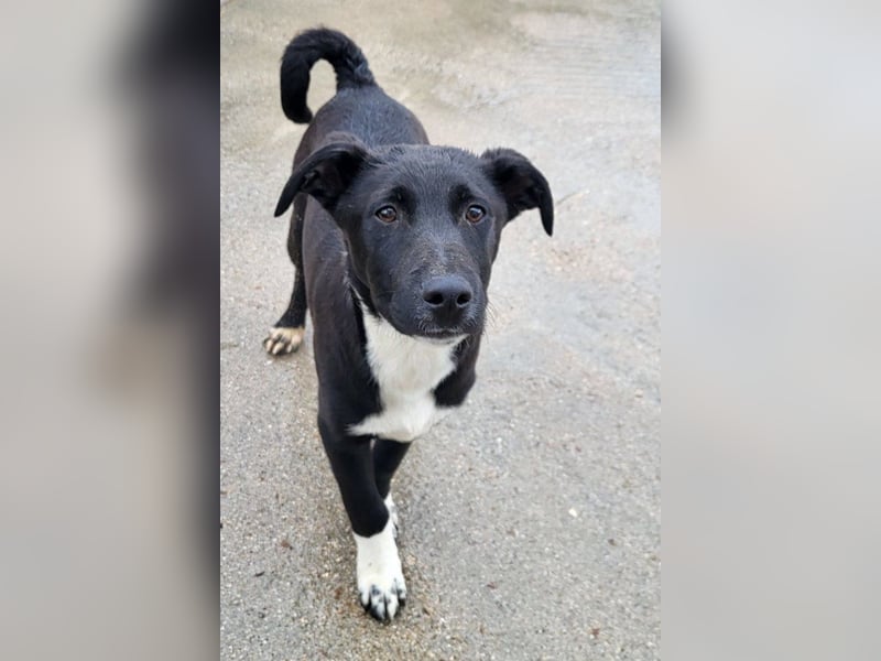 ♥ Julius ♥ junger Entdeckerbub sucht dich