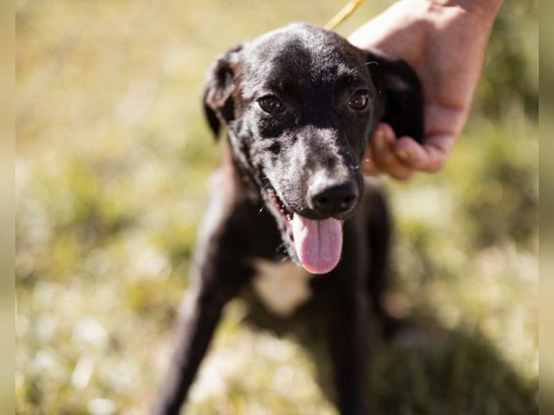 Paula ❤️ liebe, aktive, junge Zuckermaus!