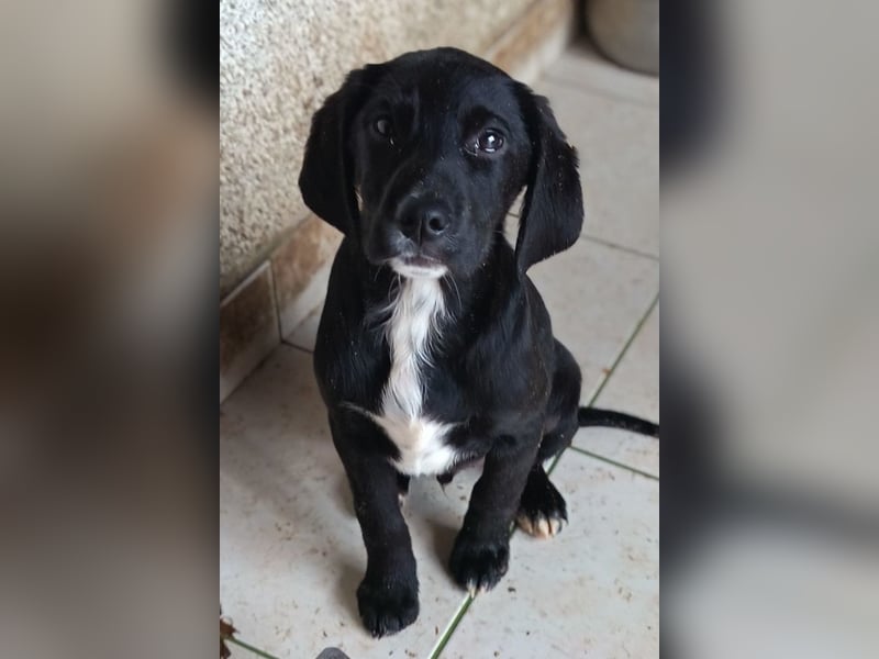 Elino ❤️ freundlicher, offener junger Bub