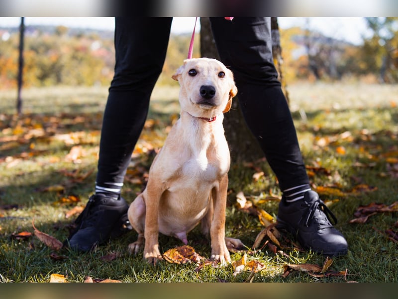 Hachiko ❤️ so lebensfroh und aktiv!