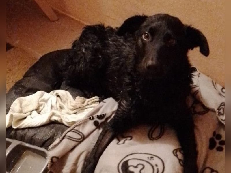 Floyd ❤️ liebenswerter, tapferer Kämpfer Floyd ❤️ liebenswerter, tapferer Kämpfer