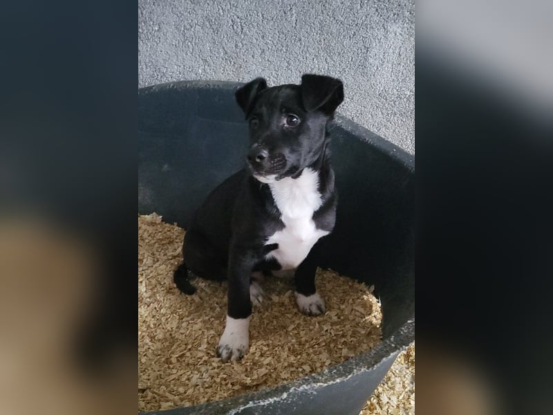 ♥Julius♥ junger Entdeckerbub sucht dich