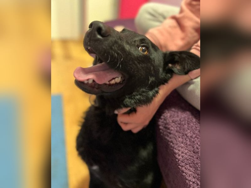 Floyd ❤️ liebenswerter, tapferer Kämpfer