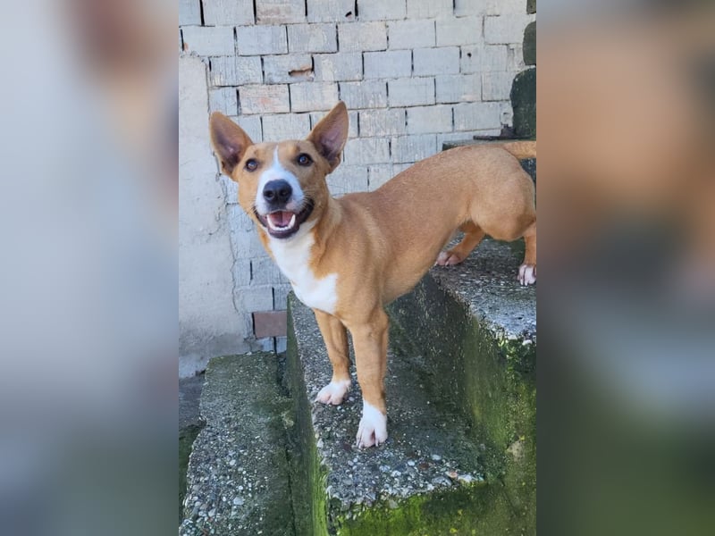 Aurelia ❤️ aufgeweckte, so fröhliche Maus