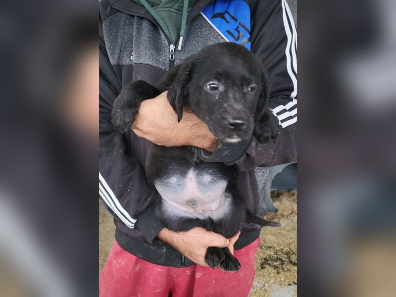 Haru ❤️ so lieber, aufgeschlossener Bub!