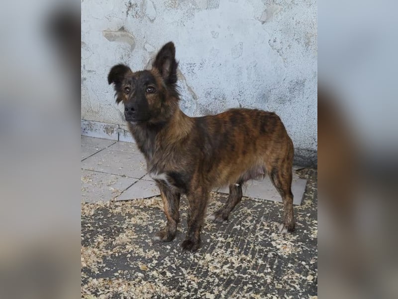 JULE❤️sanft, liebevoll und voller Zuneigung & Liebe