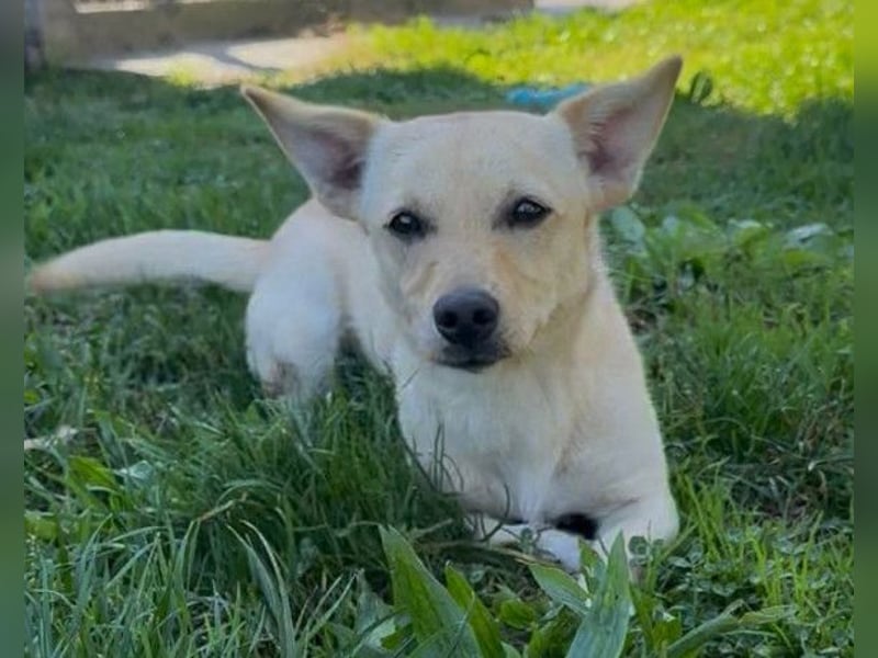 Mira ❤️ fröhlicher, lieber Sonnenschein!