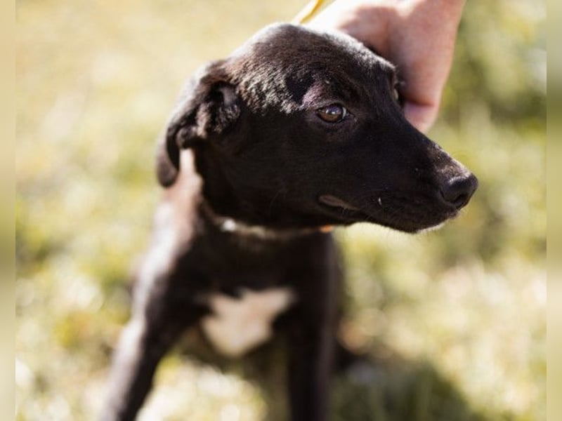 Paula ❤️ liebe, aktive, junge Zuckermaus!