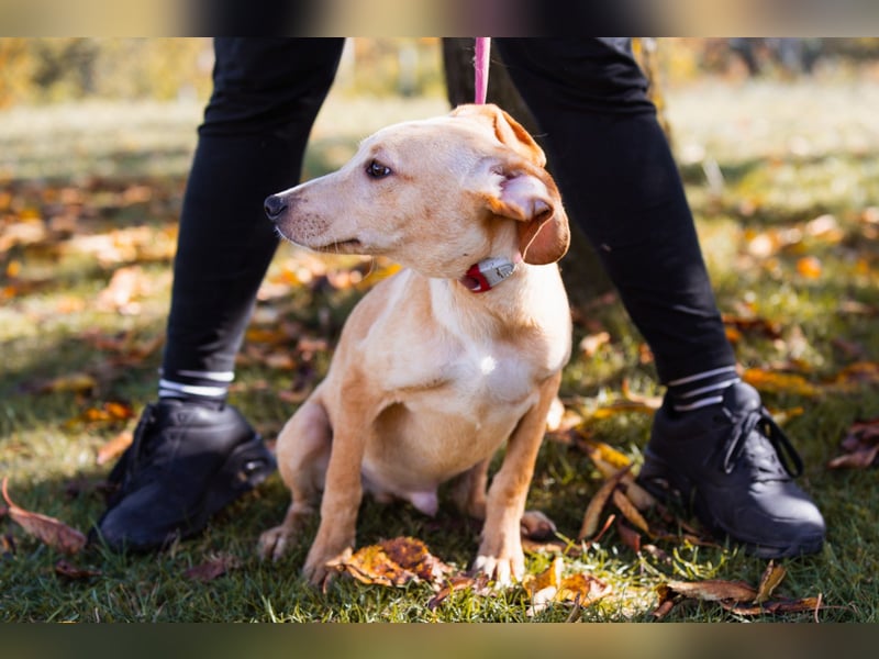 Hachiko ❤️ so lebensfroh und aktiv!
