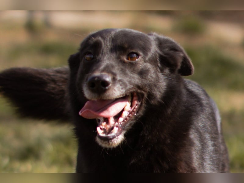 Süßer ♥Pili Mili♥ kleiner Tempo-Lausbub