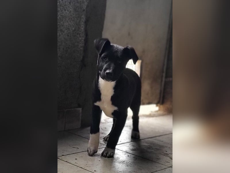 ♥Julius♥ junger Entdeckerbub sucht dich