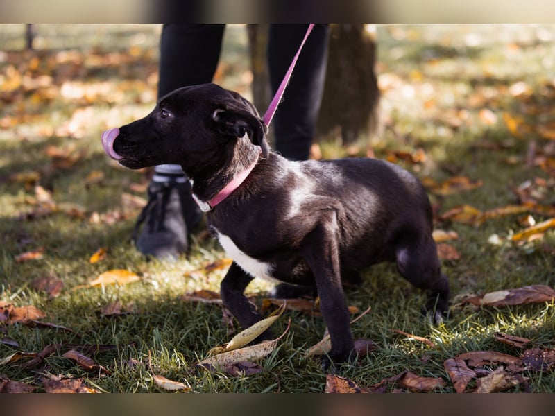 Paula ❤️ liebe, aktive, junge Zuckermaus!